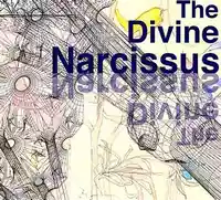 The divine Narcissus